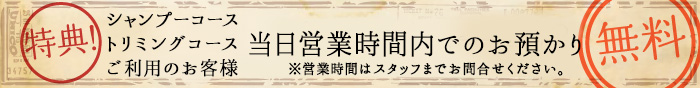 バナー